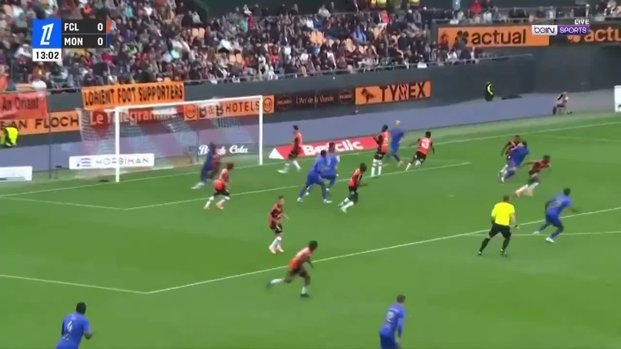 zaslepka skrotu video