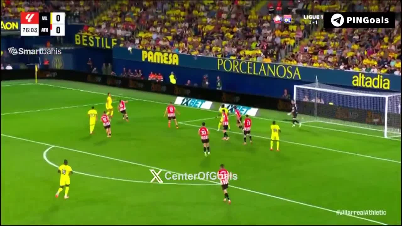 zaslepka skrotu video