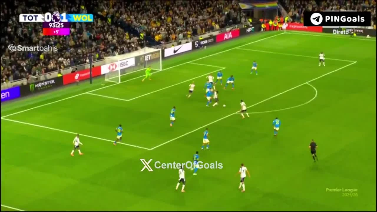 zaslepka skrotu video
