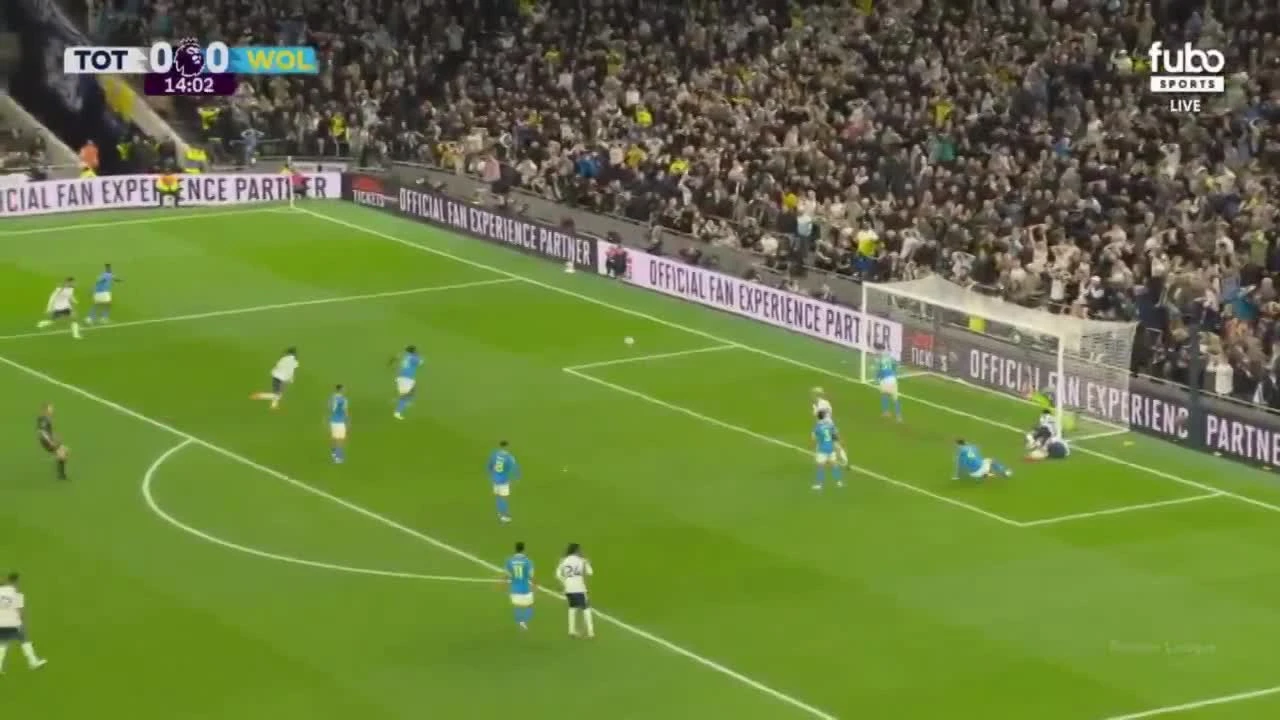 zaslepka skrotu video