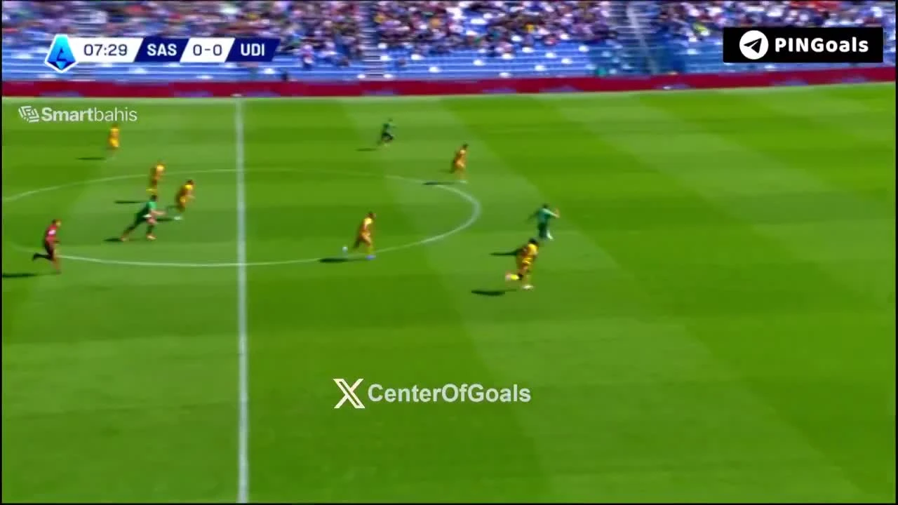 zaslepka skrotu video
