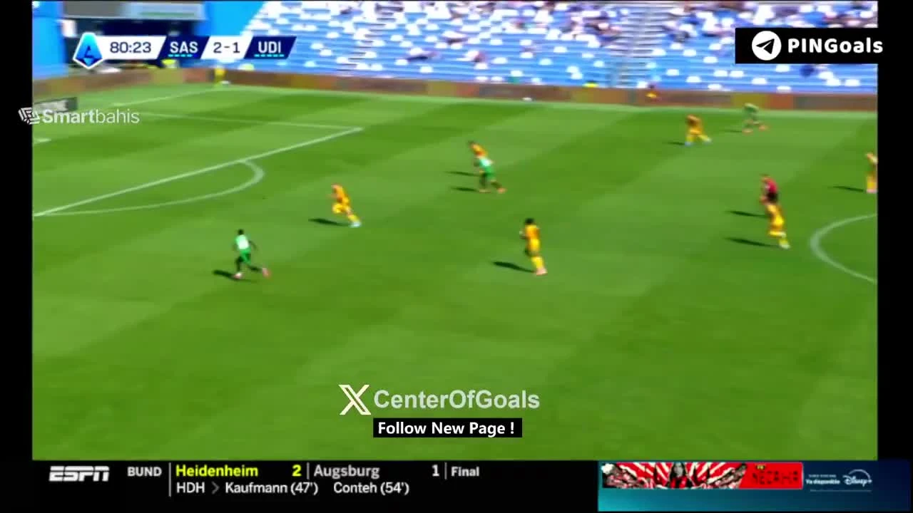 zaslepka skrotu video