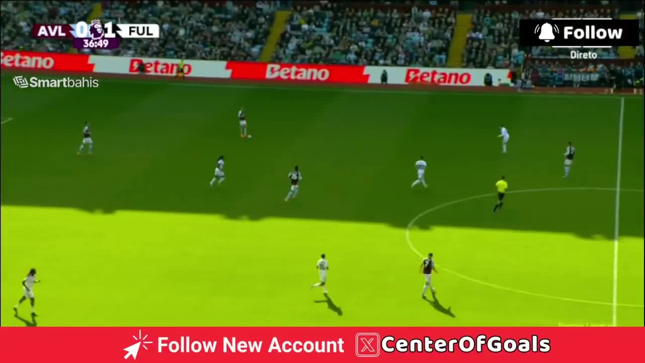 zaslepka skrotu video