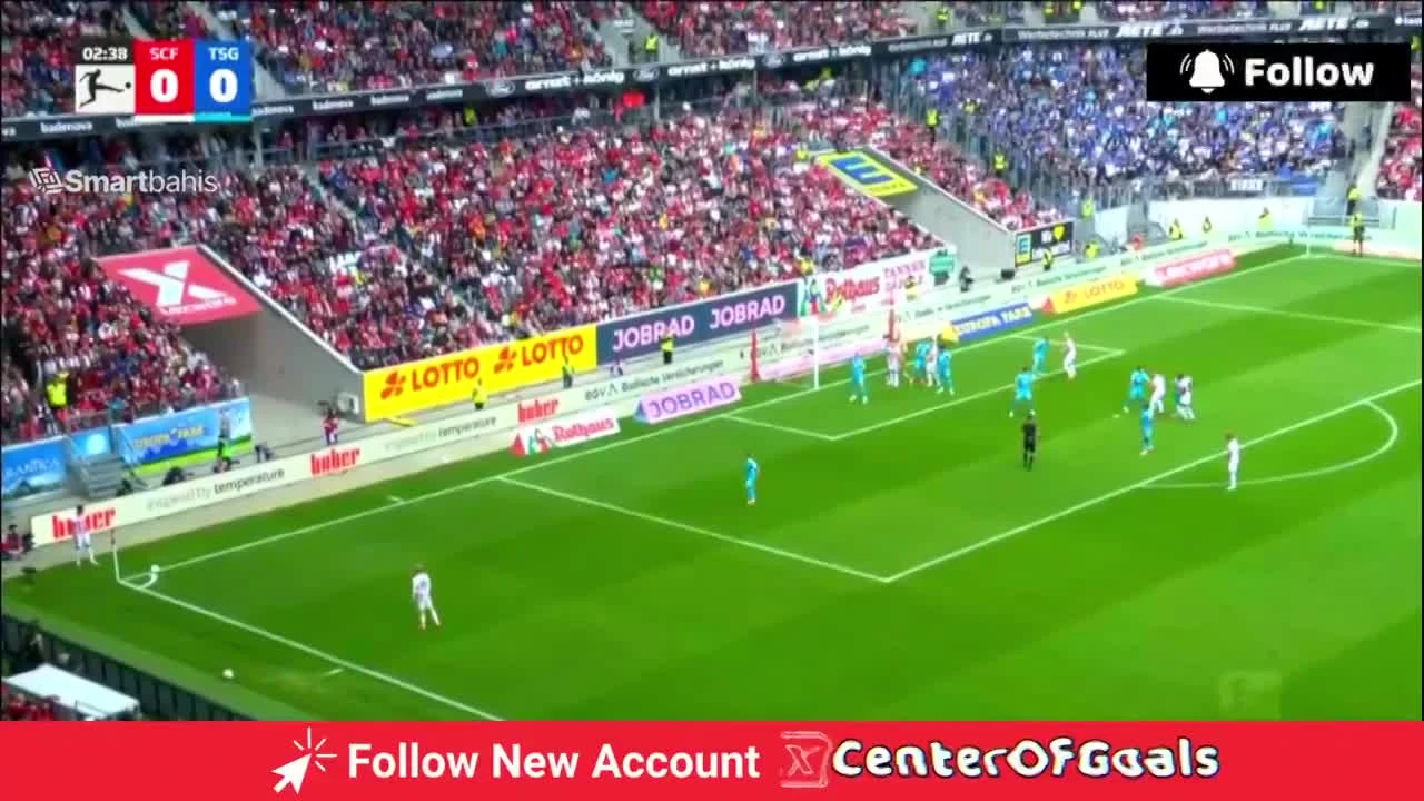 zaslepka skrotu video