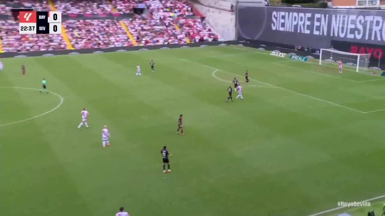 zaslepka skrotu video