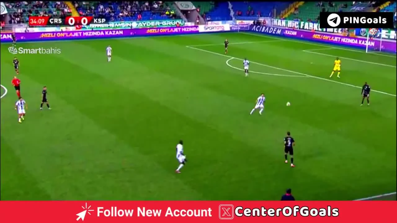 zaslepka skrotu video