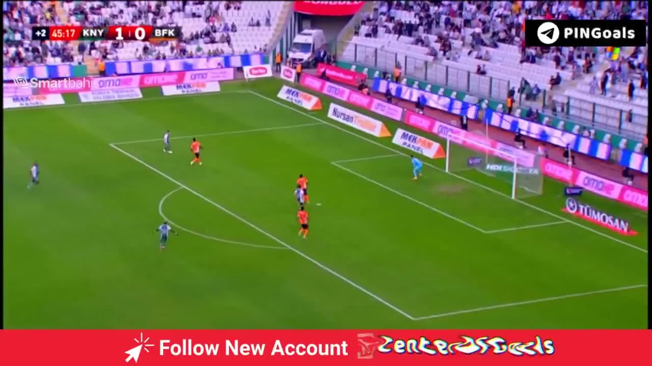 zaslepka skrotu video