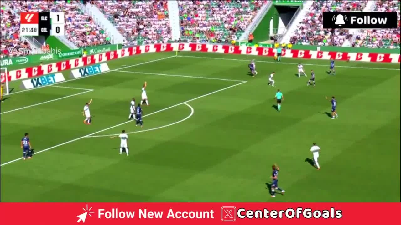 zaslepka skrotu video
