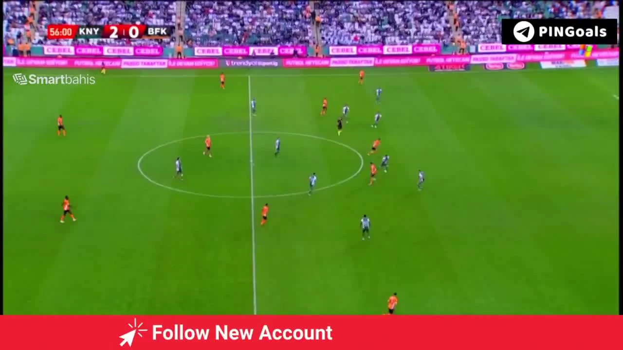 zaslepka skrotu video
