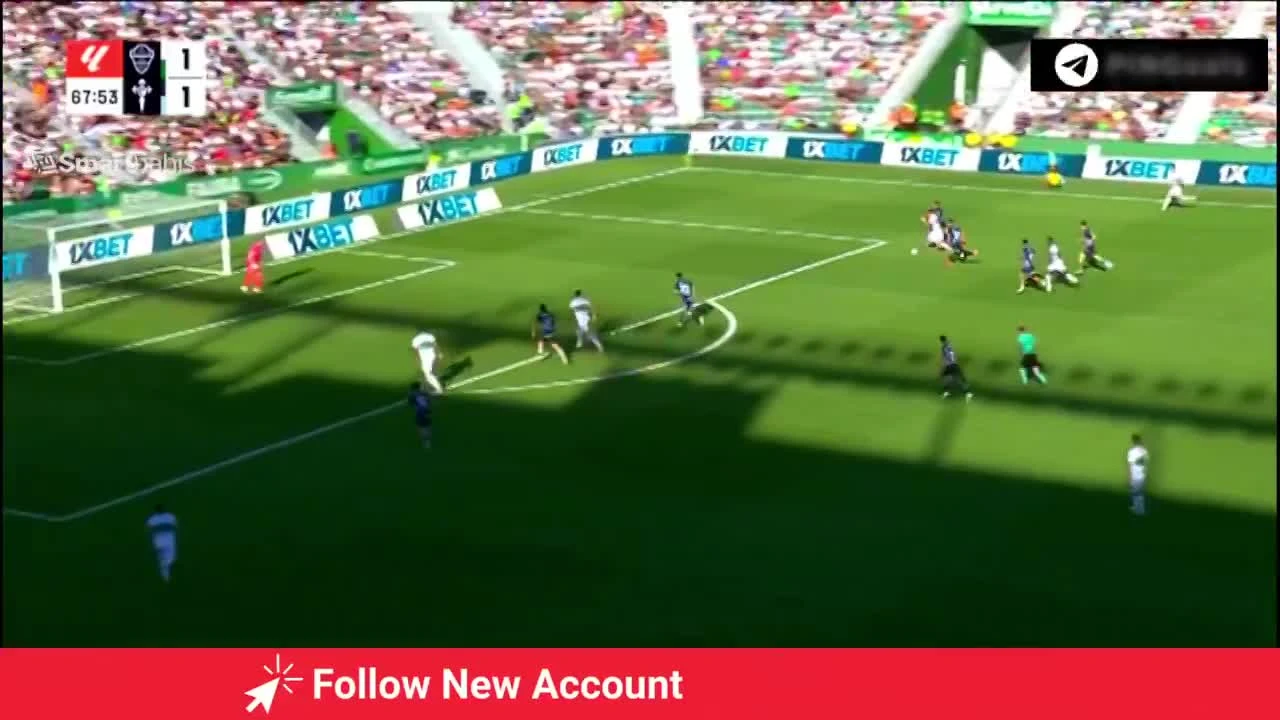 zaslepka skrotu video