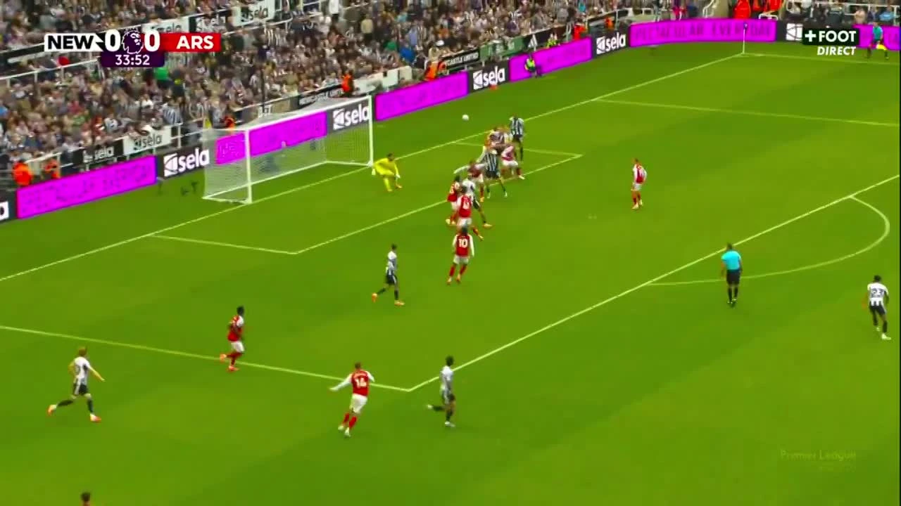 zaslepka skrotu video