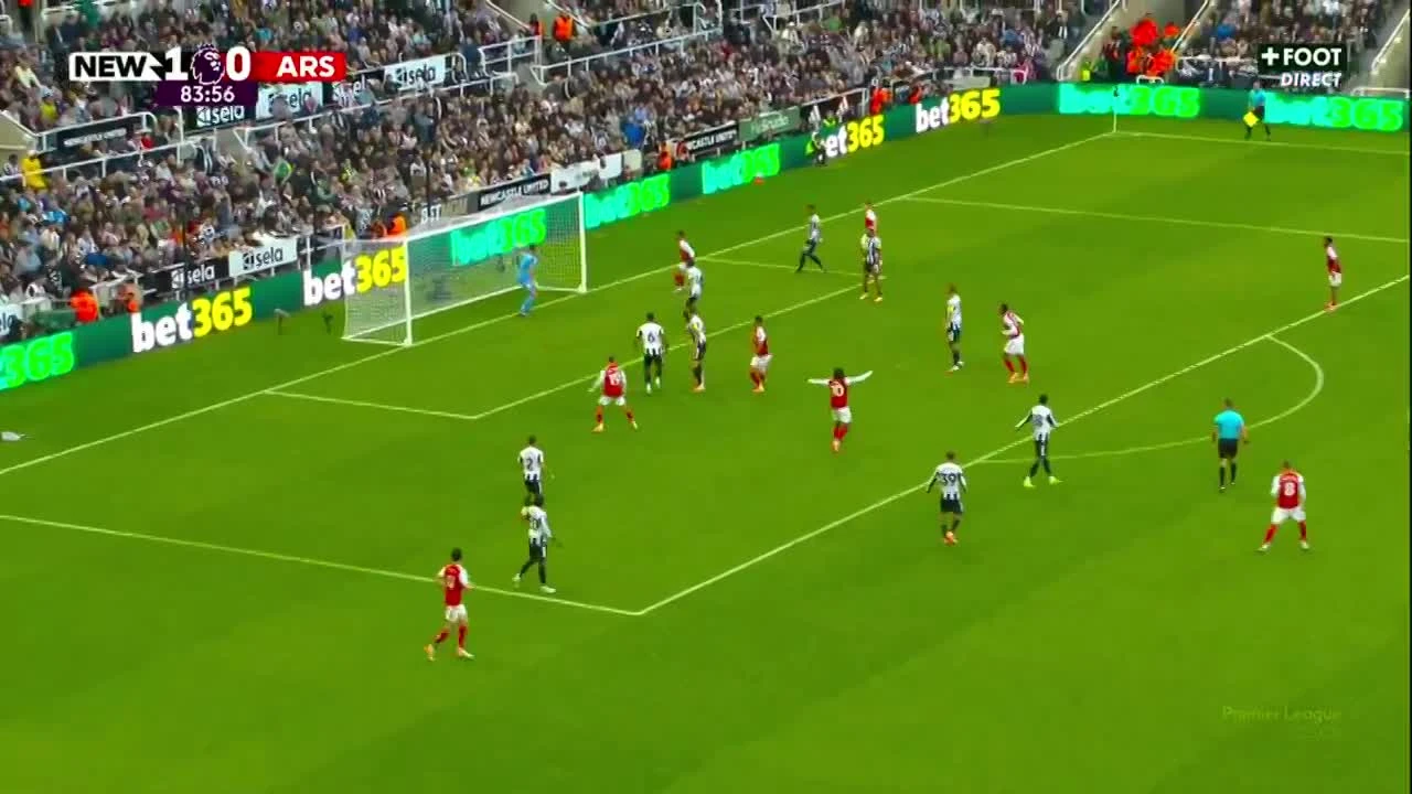 zaslepka skrotu video