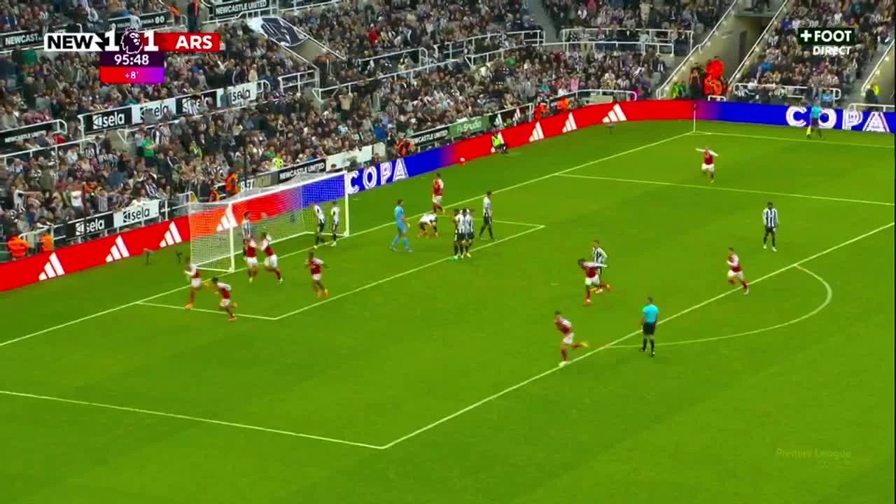 zaslepka skrotu video