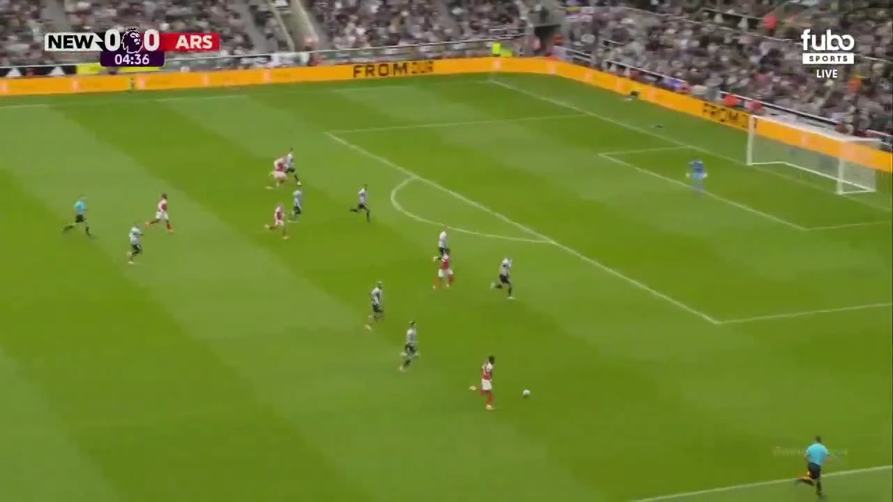 zaslepka skrotu video