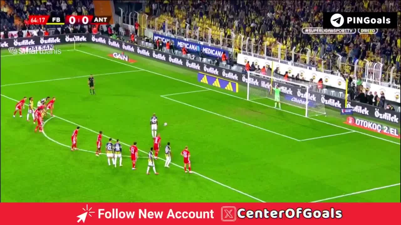 zaslepka skrotu video