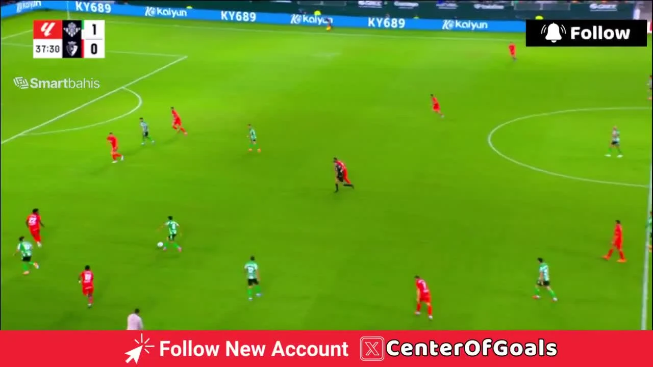 zaslepka skrotu video