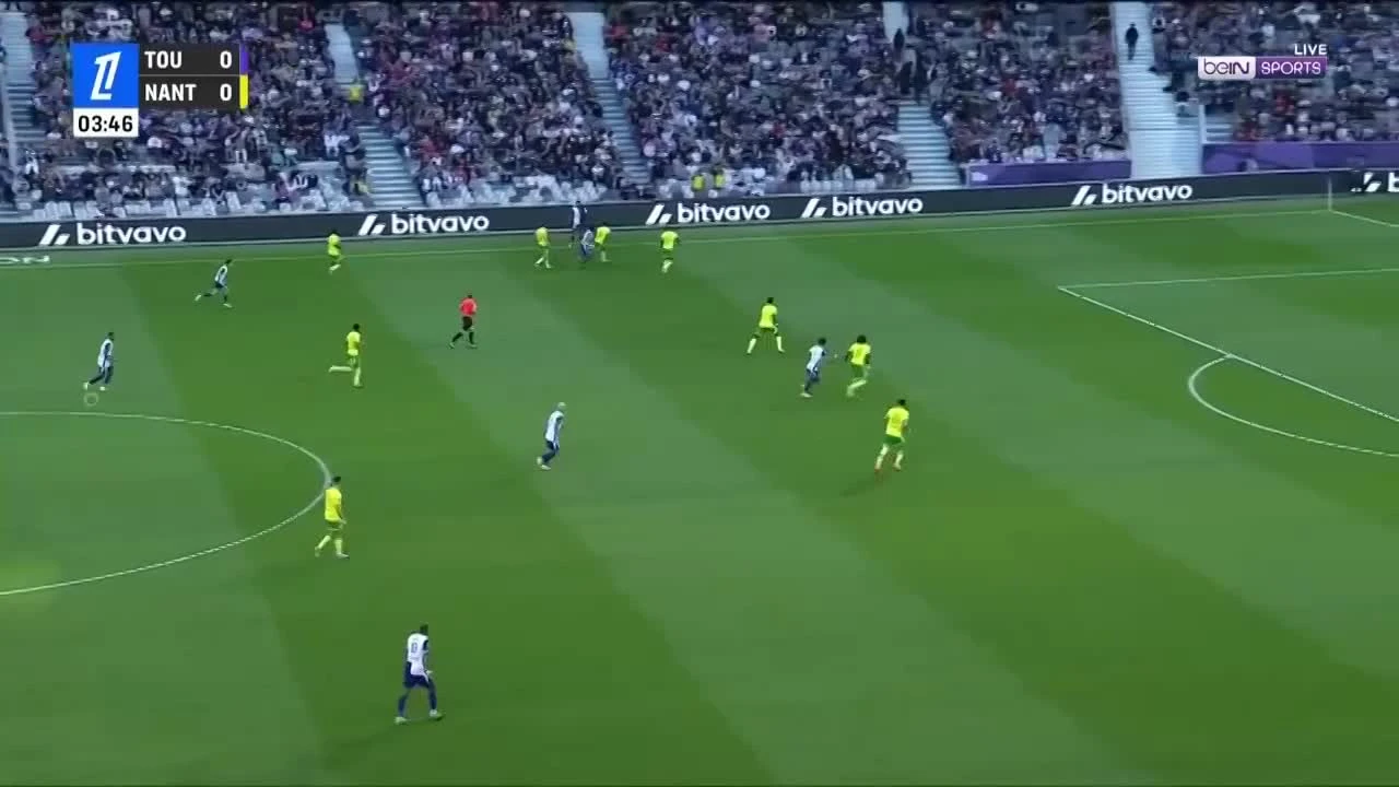 zaslepka skrotu video