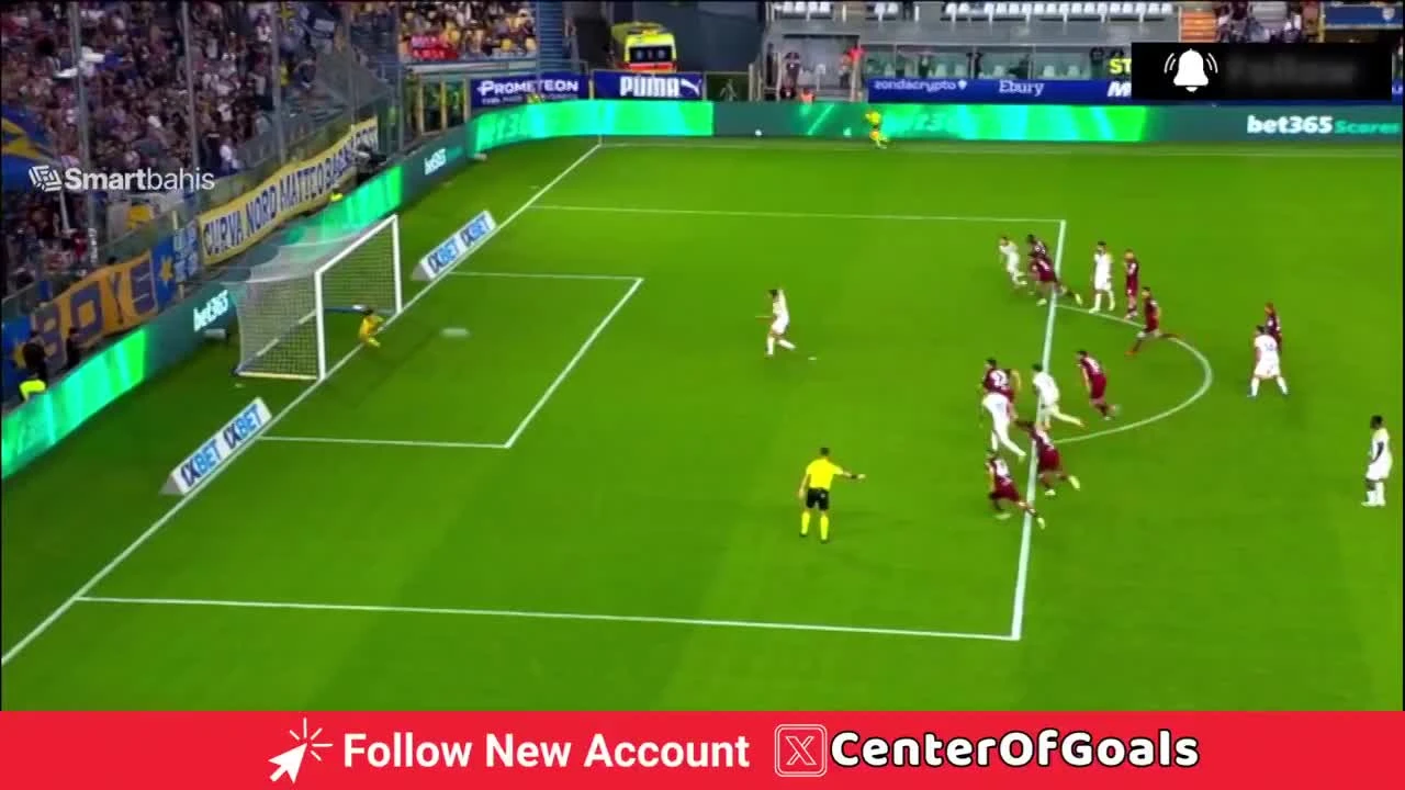 zaslepka skrotu video