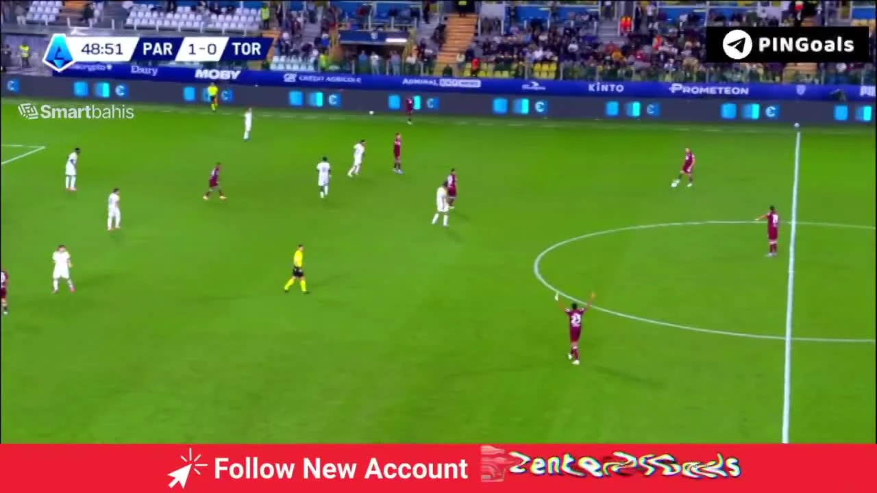 zaslepka skrotu video
