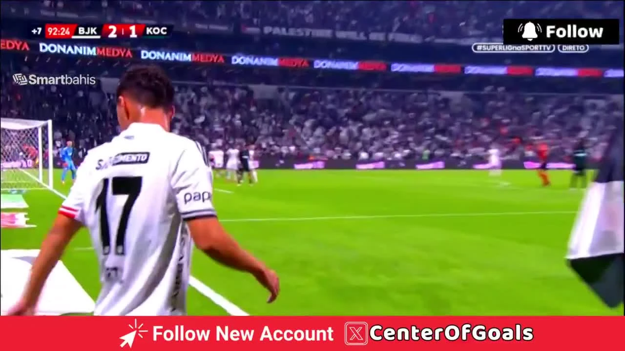 zaslepka skrotu video