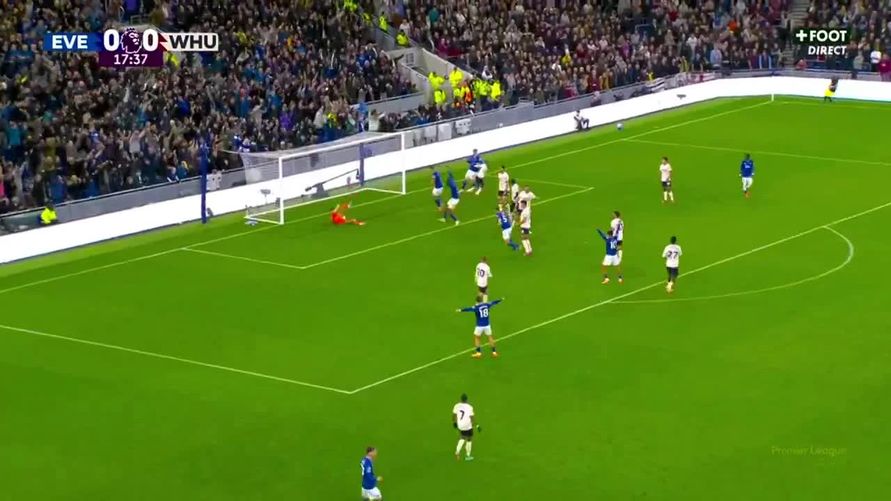 zaslepka skrotu video