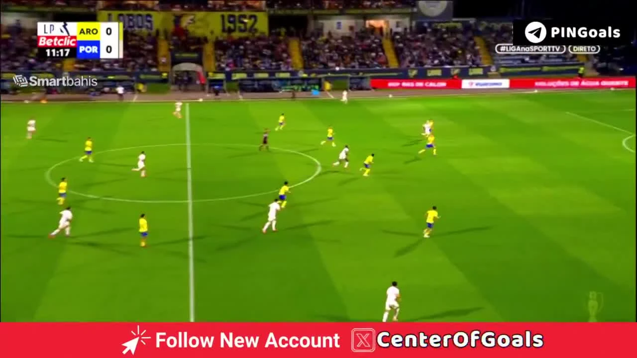 zaslepka skrotu video