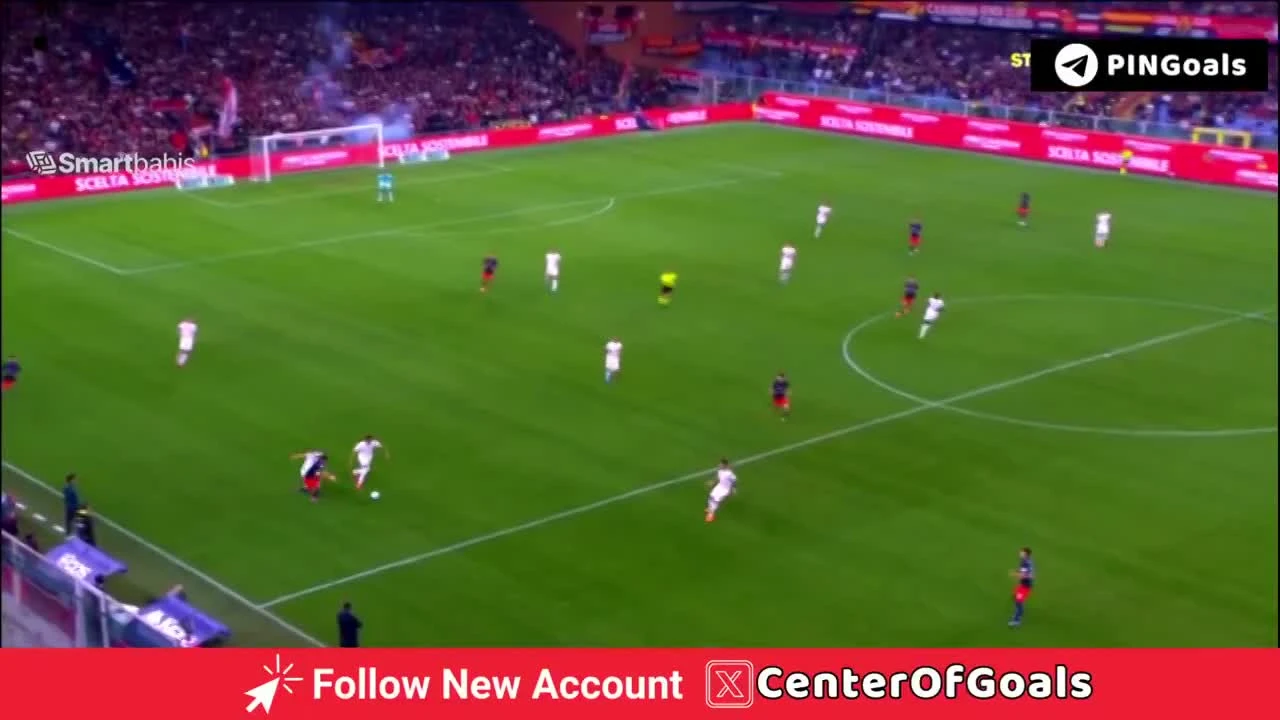 zaslepka skrotu video