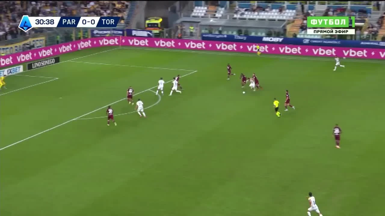 zaslepka skrotu video