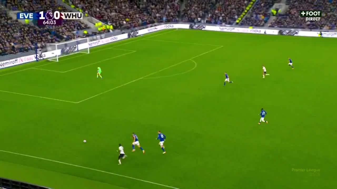 zaslepka skrotu video