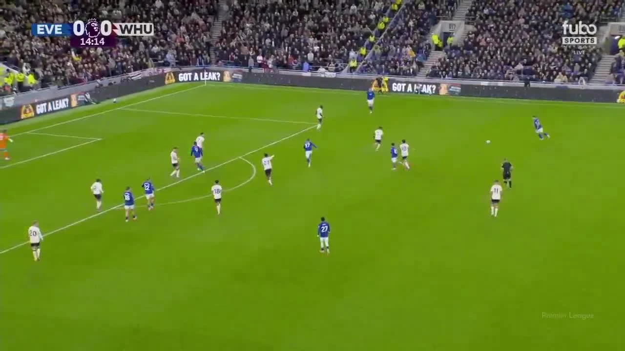 zaslepka skrotu video