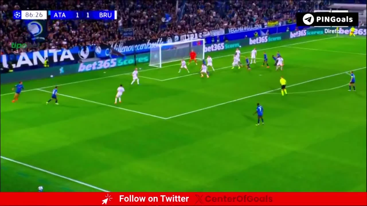 zaslepka skrotu video