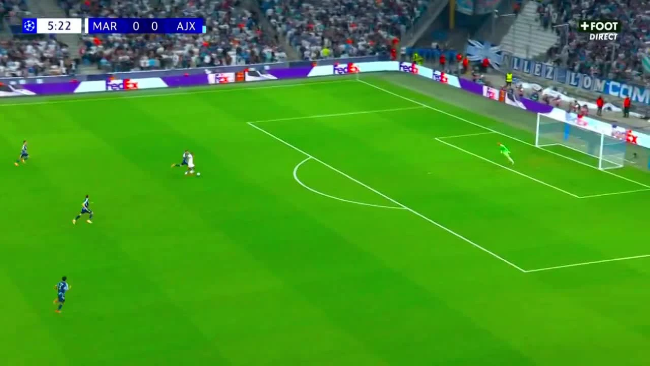 zaslepka skrotu video