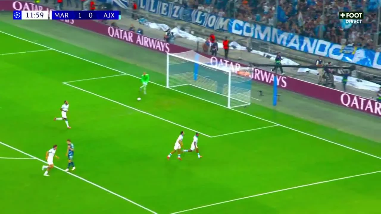 zaslepka skrotu video