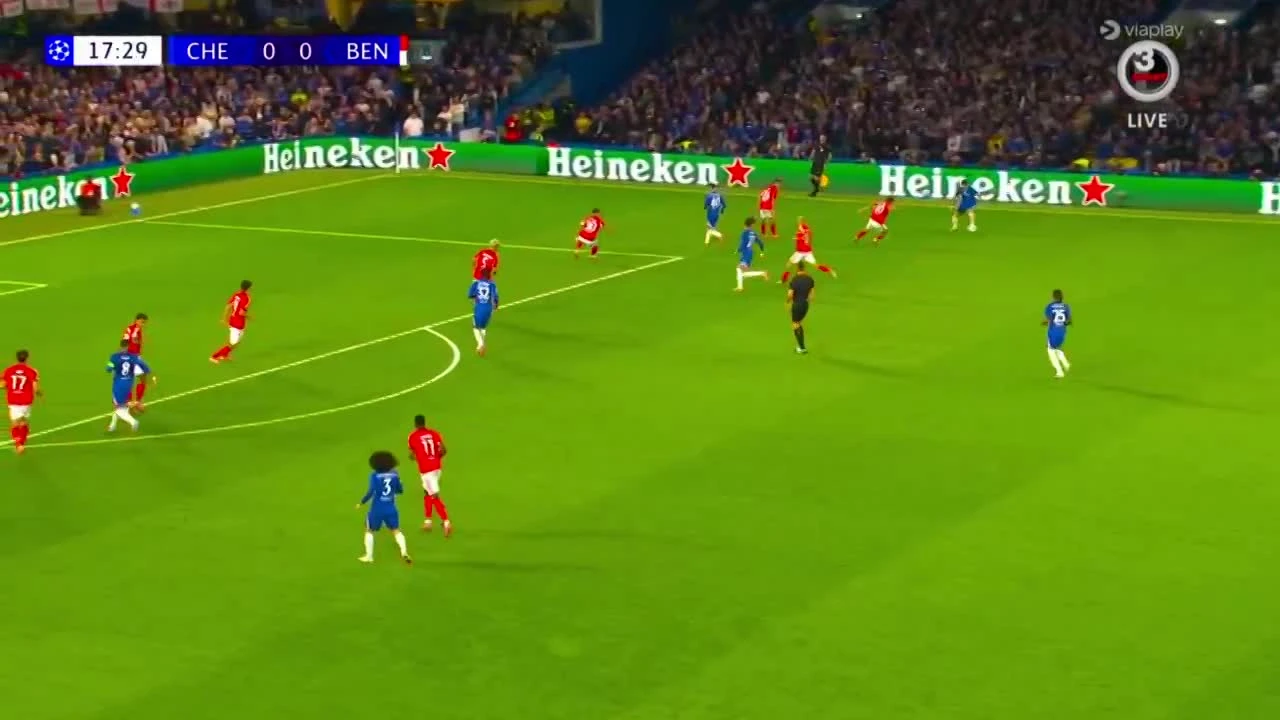 zaslepka skrotu video