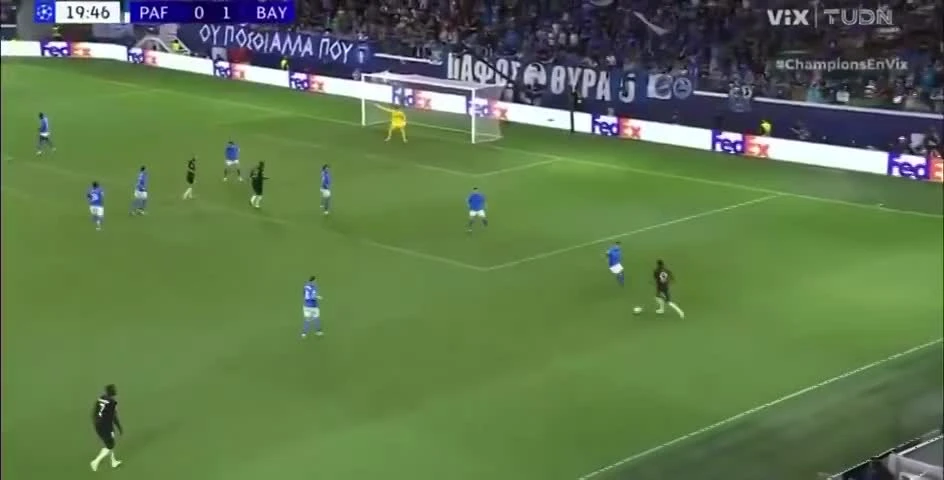 zaslepka skrotu video