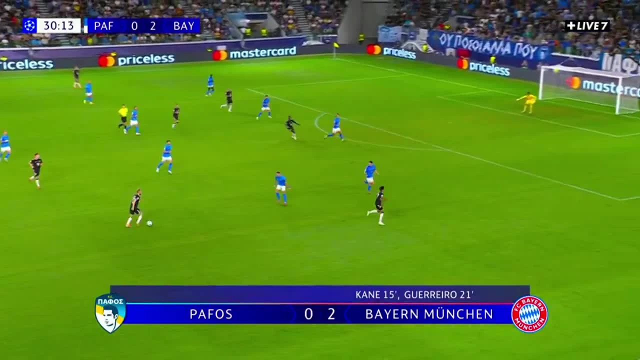 zaslepka skrotu video