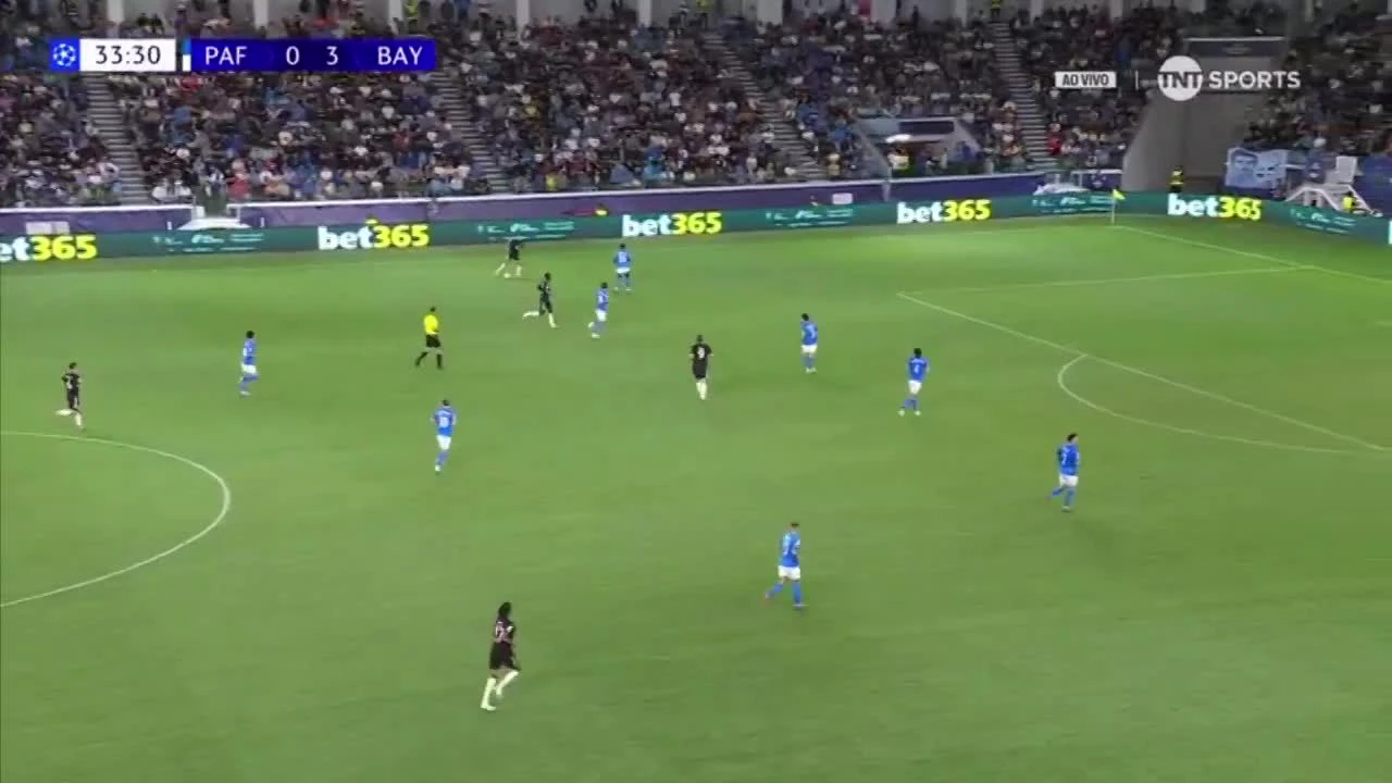 zaslepka skrotu video