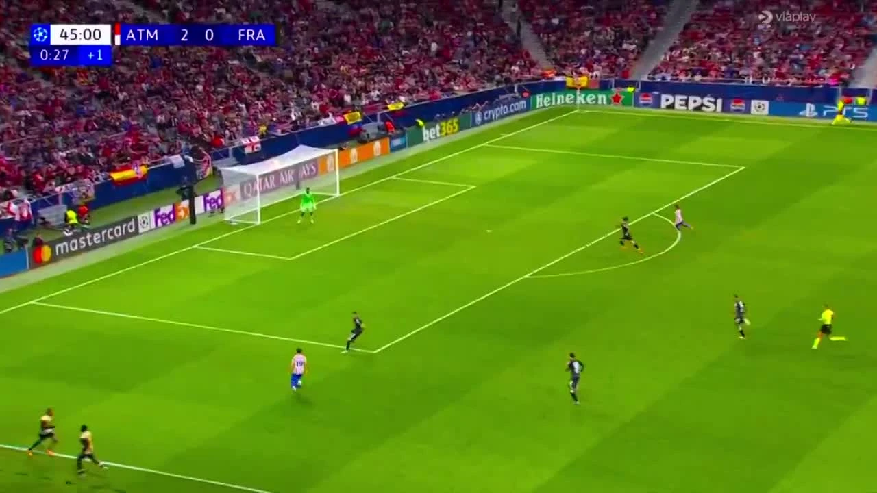 zaslepka skrotu video