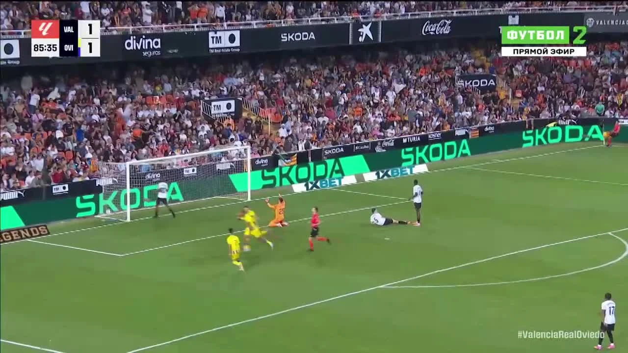 zaslepka skrotu video