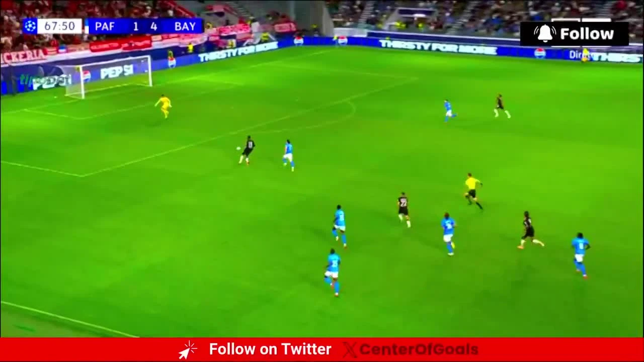 zaslepka skrotu video