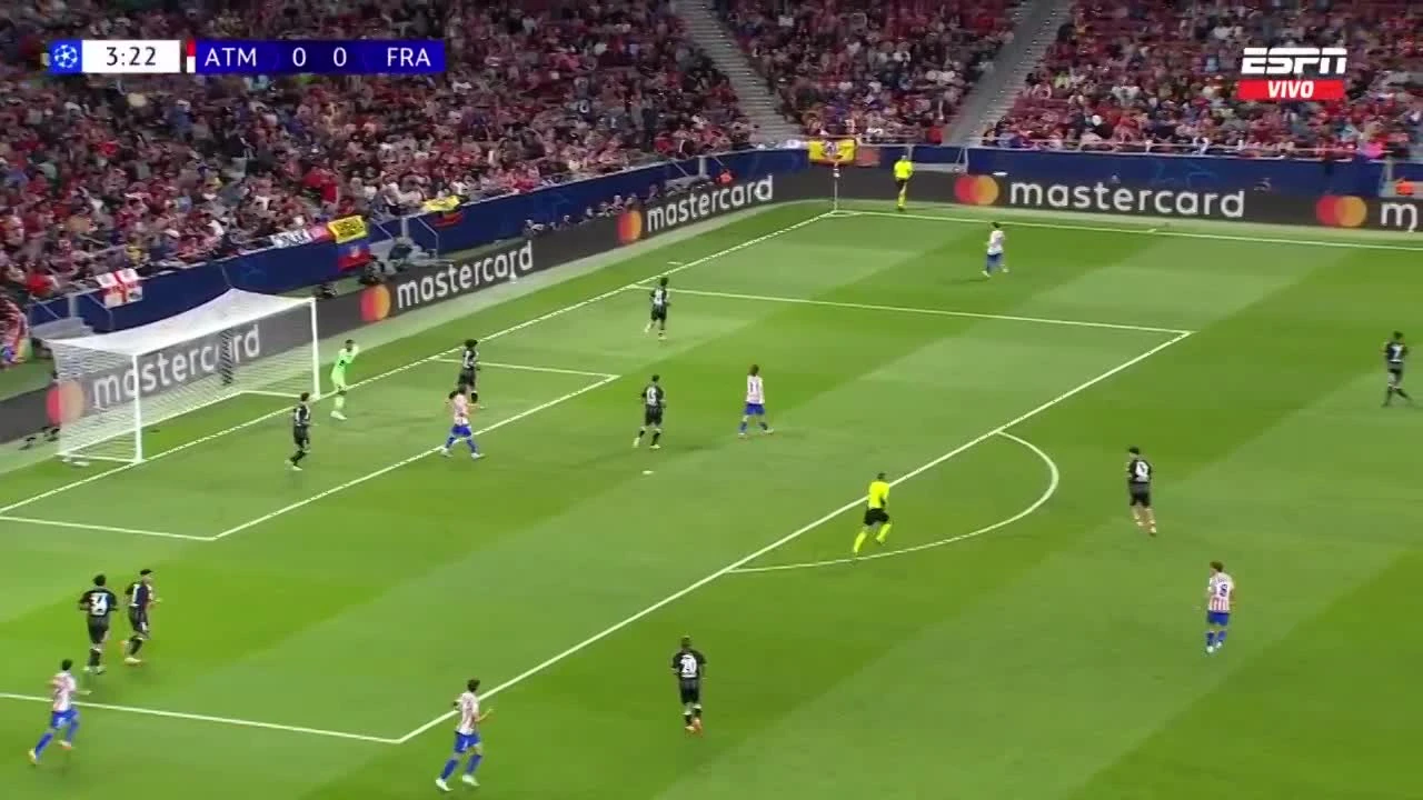 zaslepka skrotu video