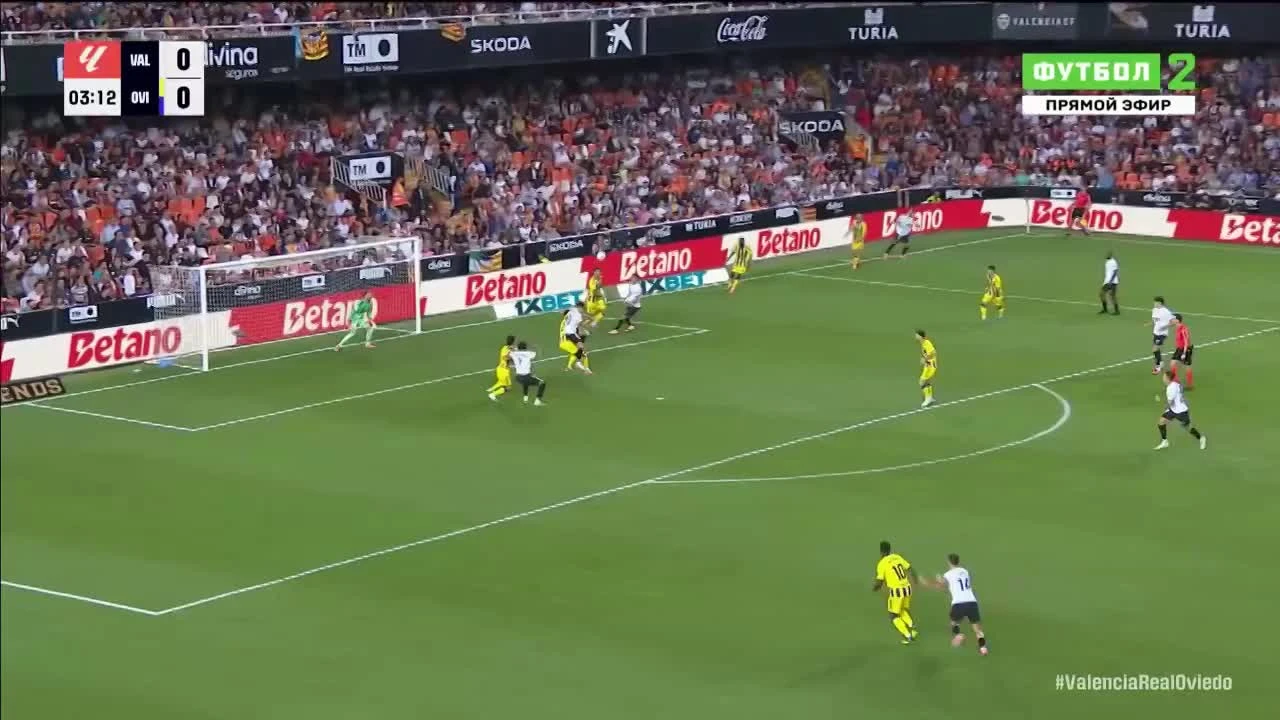 zaslepka skrotu video