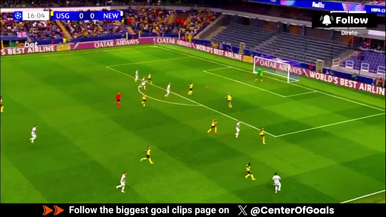 zaslepka skrotu video