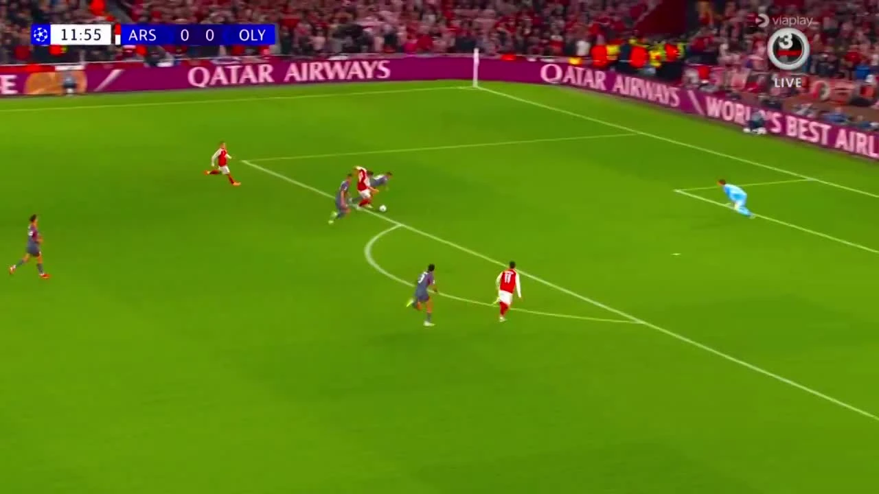 zaslepka skrotu video