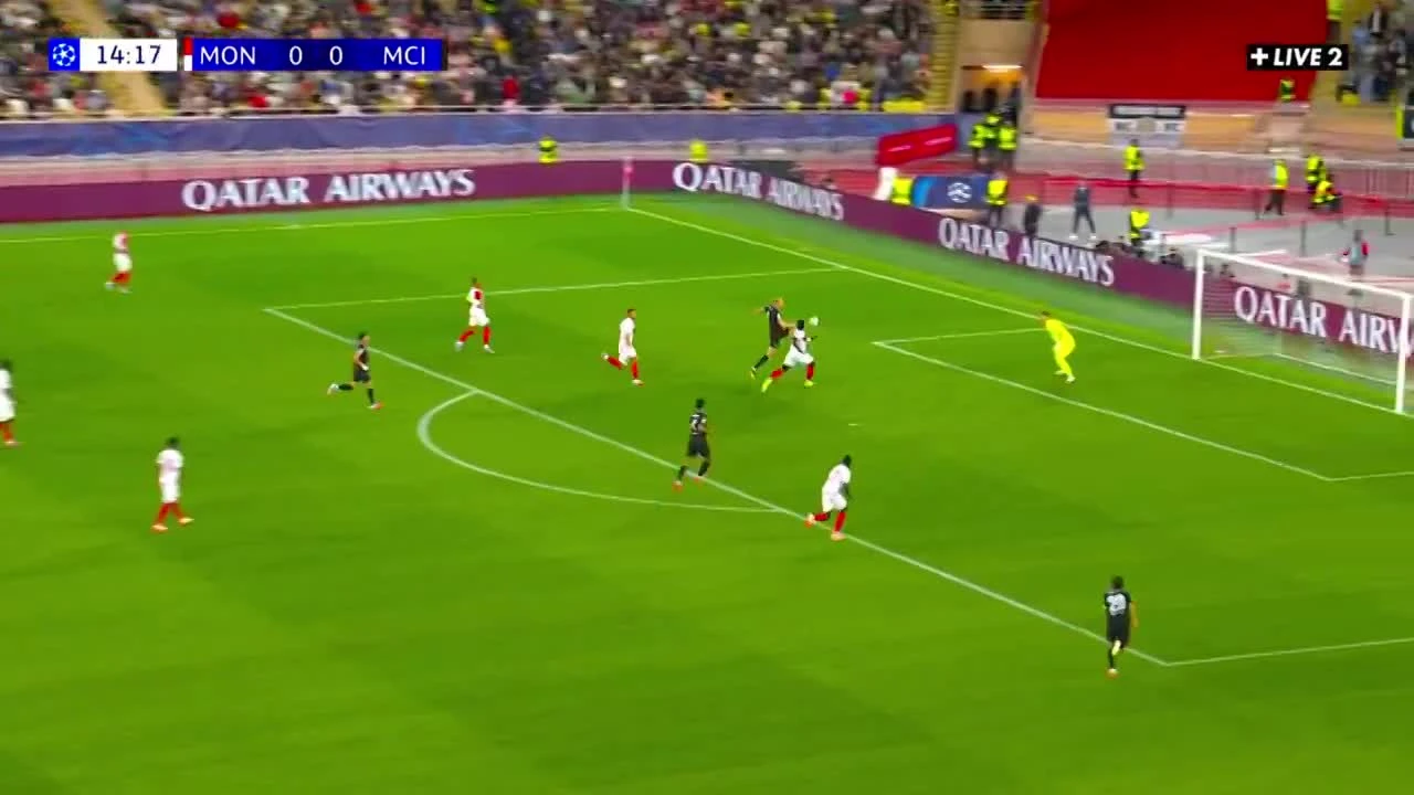 zaslepka skrotu video