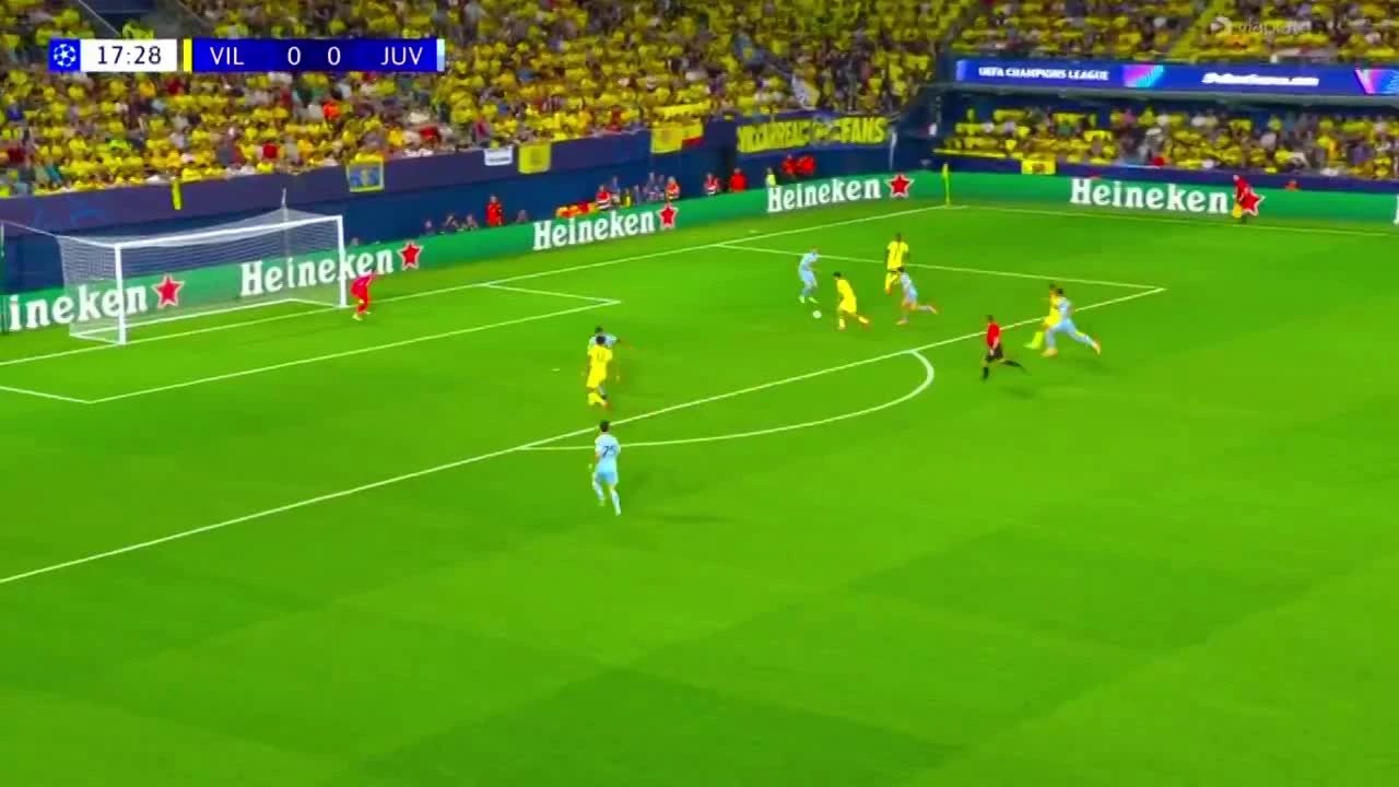 zaslepka skrotu video
