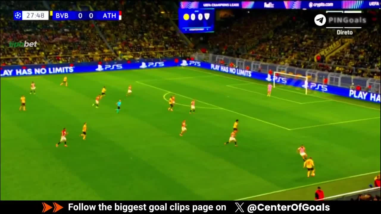 zaslepka skrotu video