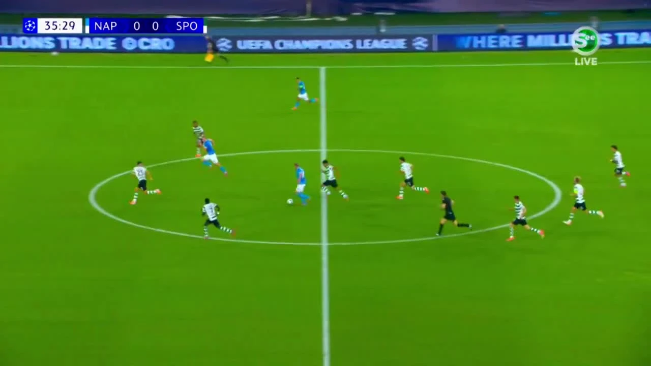 zaslepka skrotu video