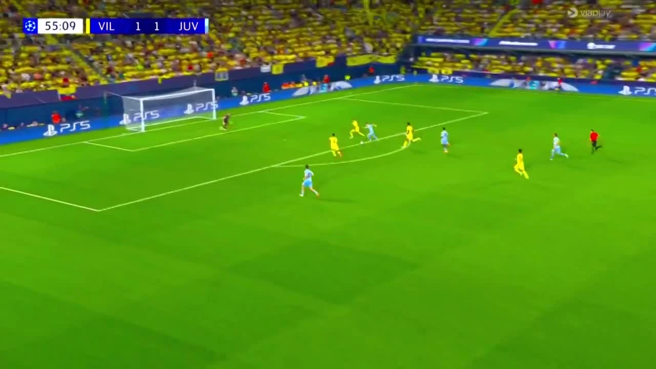 zaslepka skrotu video