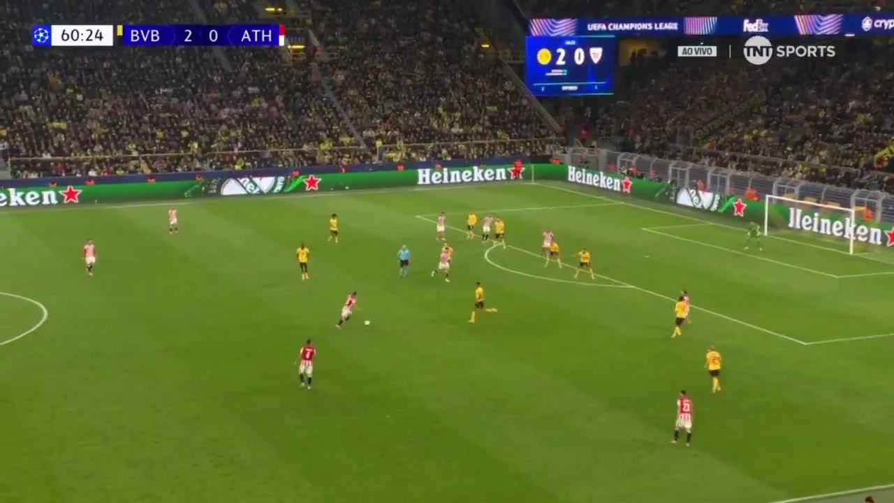 zaslepka skrotu video